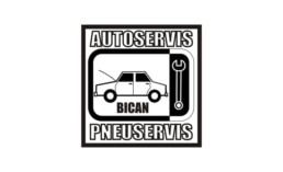 neon it reference pneuservis bican